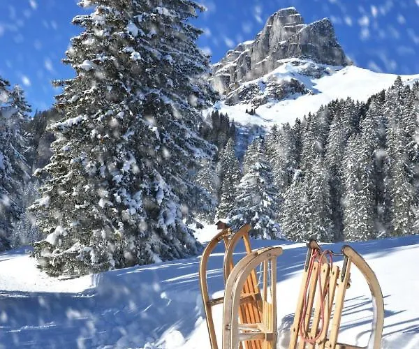 Regina Golfblick By Interhome * Davos